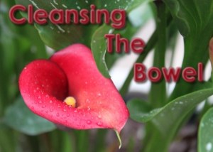 Bowel Cleansing