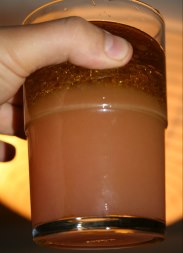 OLive oil-grapefruit juice253x183