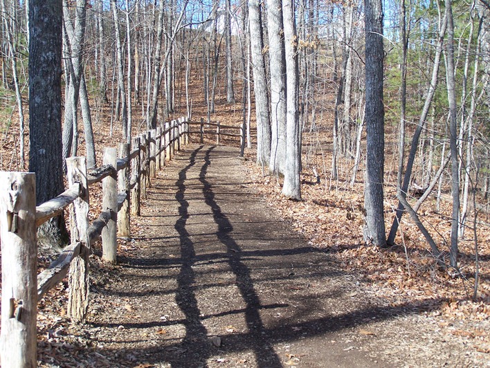 Trail with fence sm