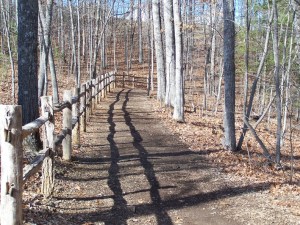 Trail with fence sm