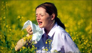 hay fever