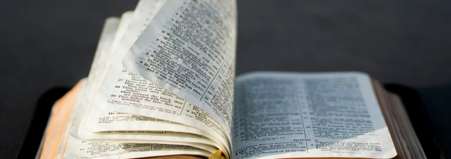 Open book in natural light