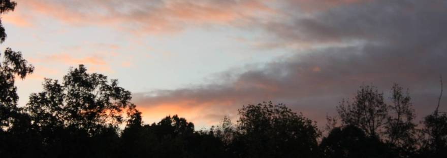 Pink dawn clouds over a dark ridge of trees