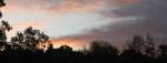 Pink dawn clouds over a dark ridge of trees