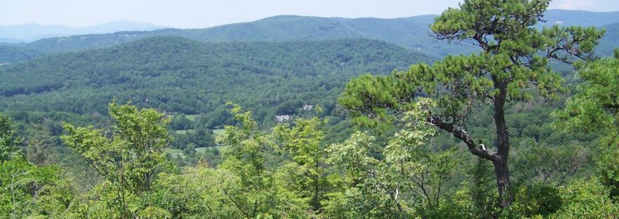 A lone pine on a rocky overlook above the Blue Ridge mountains