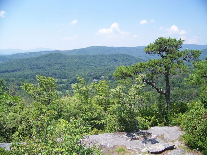A lone pine on a rocky overlook above the Blue Ridge mountains