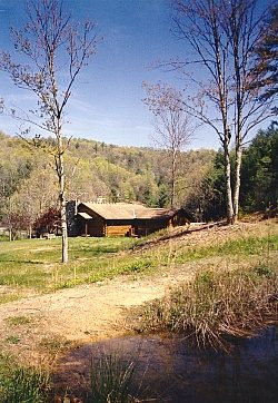 A log cabin in a spring meadow, seen from the edge of a lake