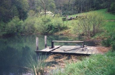 A small wooden dock on a still lake, framed by spring woods