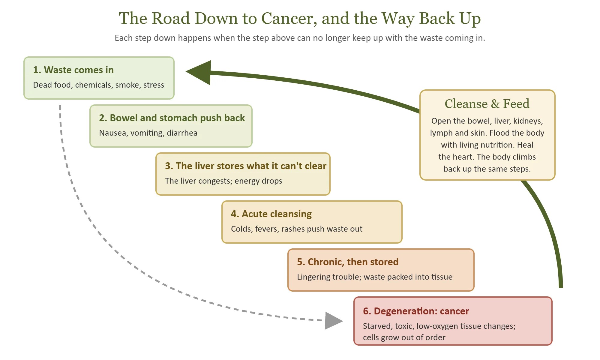 The road down to cancer and the way back up