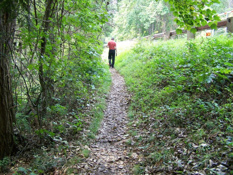 A man walking ahead on a leaf-covered woodland path