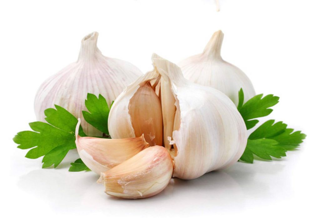Garlic bulbs and cloves with parsley