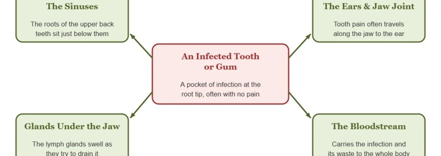 Diagram: an infection in a tooth or gum can travel to the sinuses, the ears and jaw joint, the glands under the jaw, and the bloodstream.
