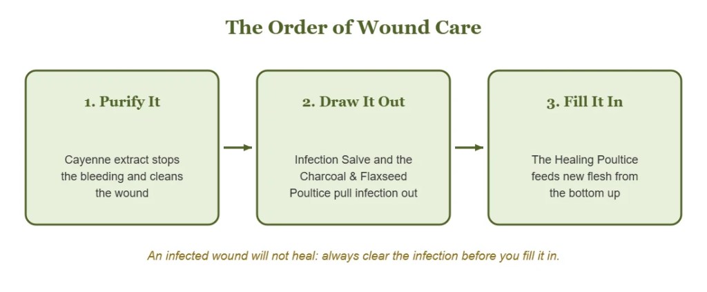Diagram: the order of wound care: purify it, draw it out, fill it in.