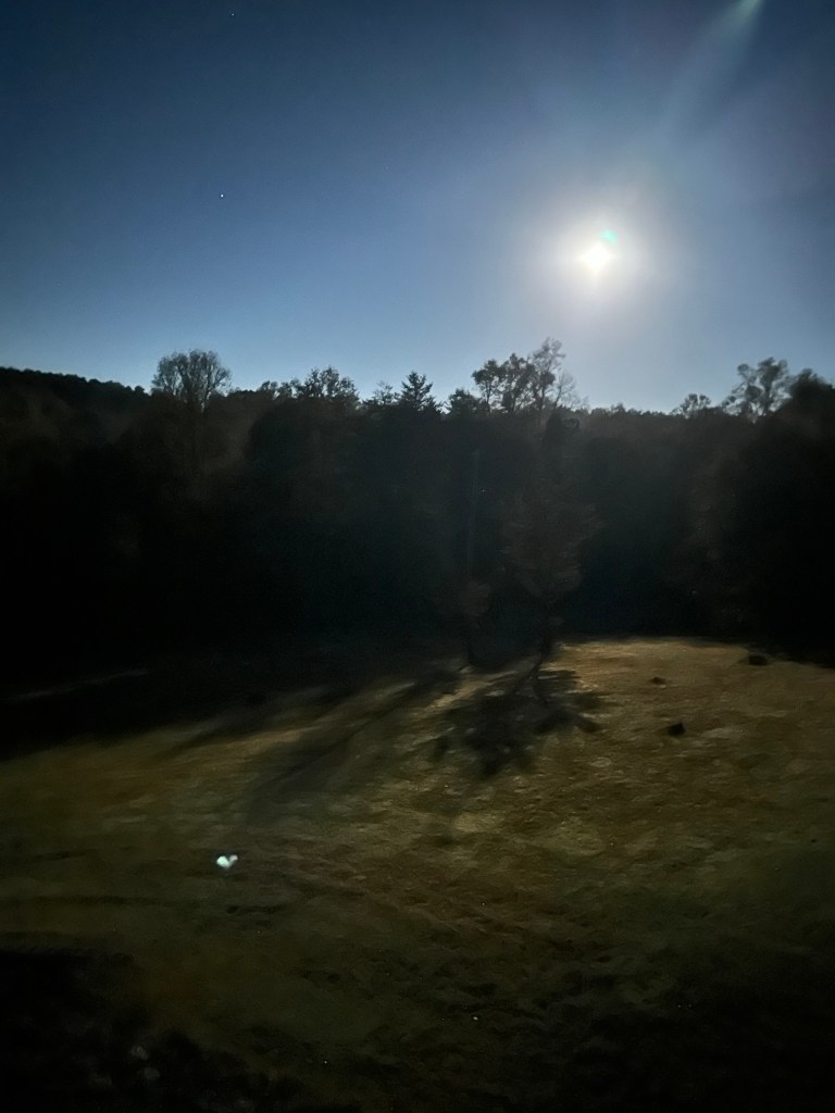 A moonlit field at 3 a.m., a tree casting a long shadow across the grass under a starry sky