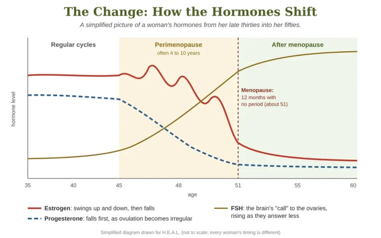 Line diagram of hormone levels from age 35 to 60: estrogen swings up and down through perimenopause then falls, progesterone falls first, and FSH rises steeply, with menopause marked at about age 51.
