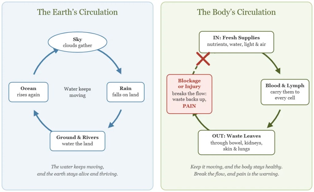 Diagram comparing nature’s water cycle with the body’s circulation, with a blockage or injury breaking the flow and causing pain.