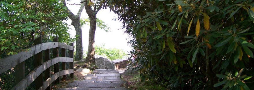 A stone path under the trees leading out toward the light