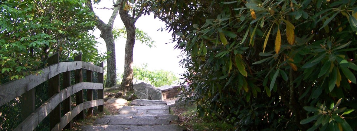 A stone path under the trees leading out toward the light