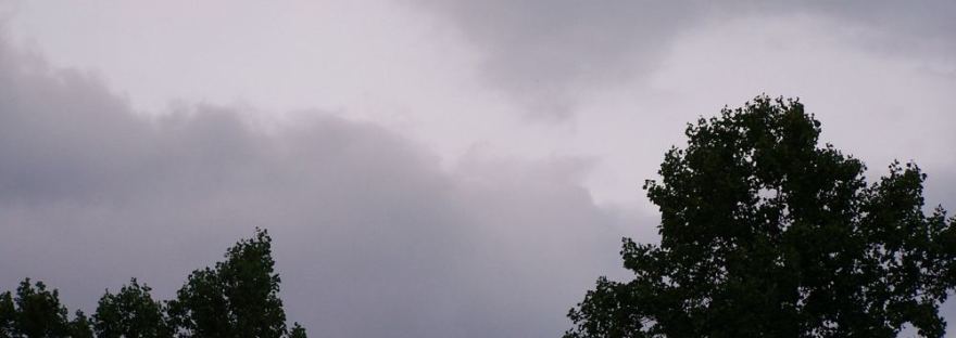 Dark storm clouds over the treetops