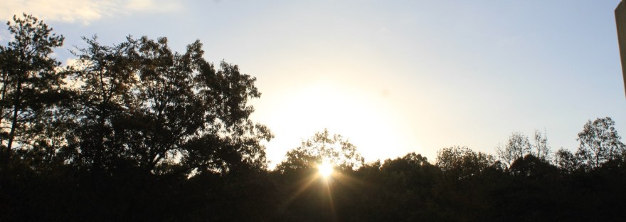 The sun breaking over a wooded ridge at sunrise