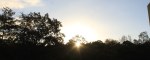 The sun breaking over a wooded ridge at sunrise