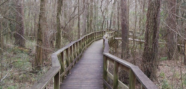 A wooden boardwalk through bare winter woods, two railings running side by side with one path between them