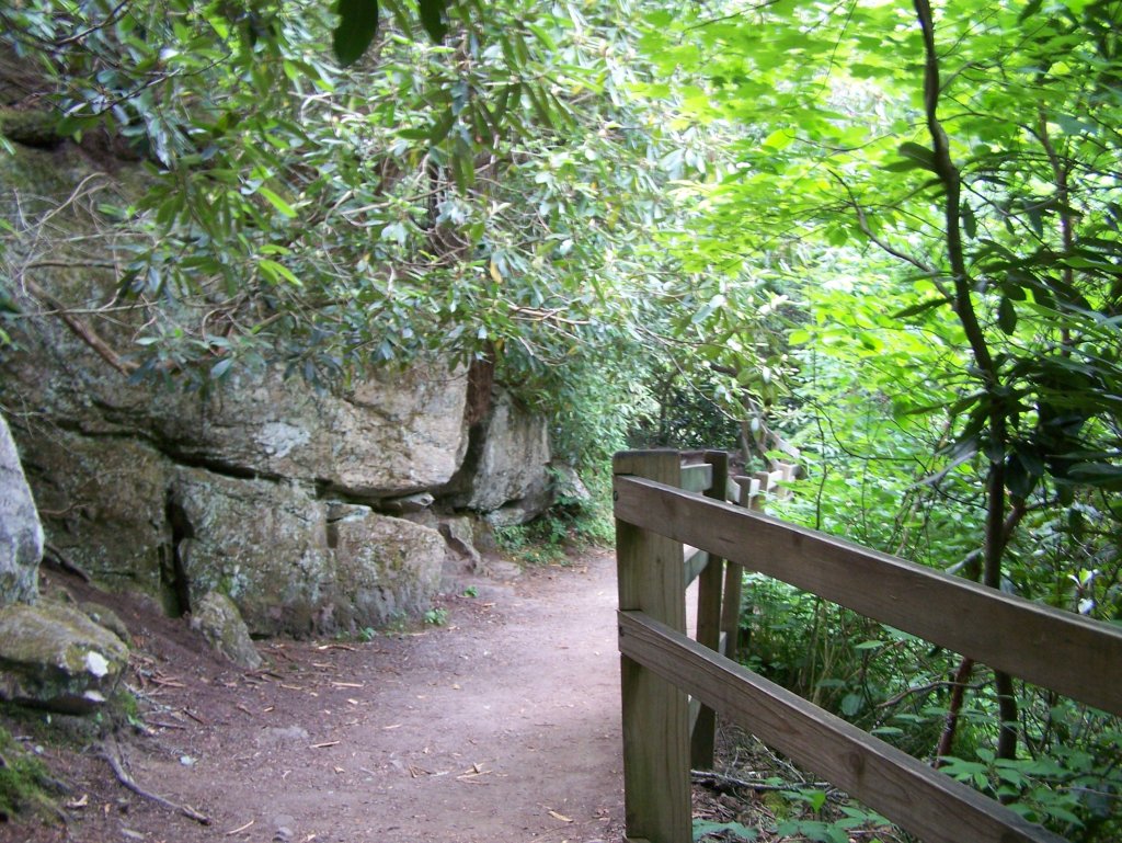 A dirt trail curving past a mossy rock wall and a wooden railing, disappearing into green rhododendron