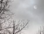 The sun glowing behind gray clouds and bare branches