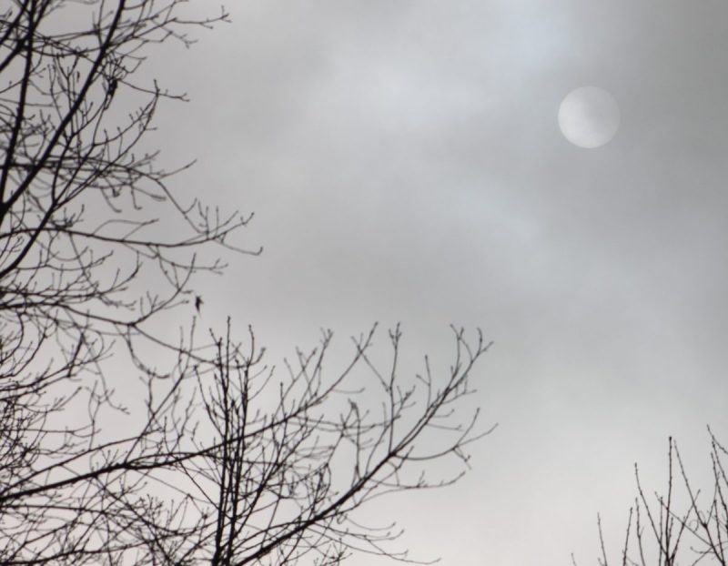 The sun glowing behind gray clouds and bare branches