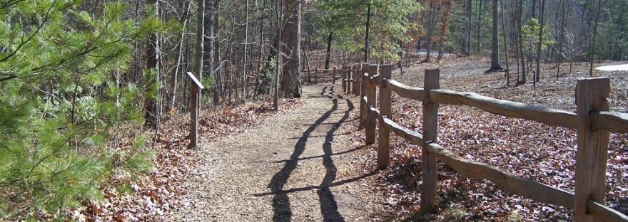 A woodland path beside a split-rail fence, with long shadows