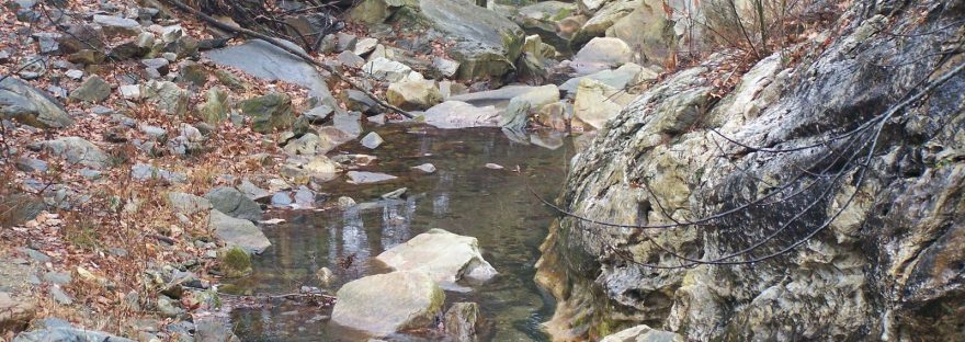 Water flowing around large boulders in a mountain creek