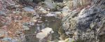 Water flowing around large boulders in a mountain creek